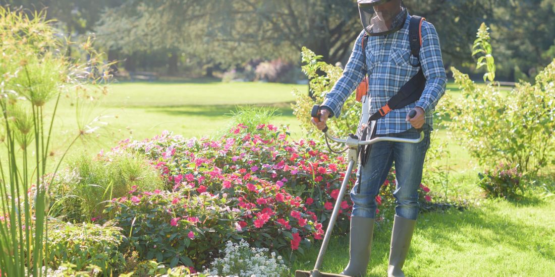 Liebevolle Gartenpflege funktioniert nur mit Know-how